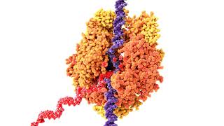 Unlocking DNA: The Secret Code of Life