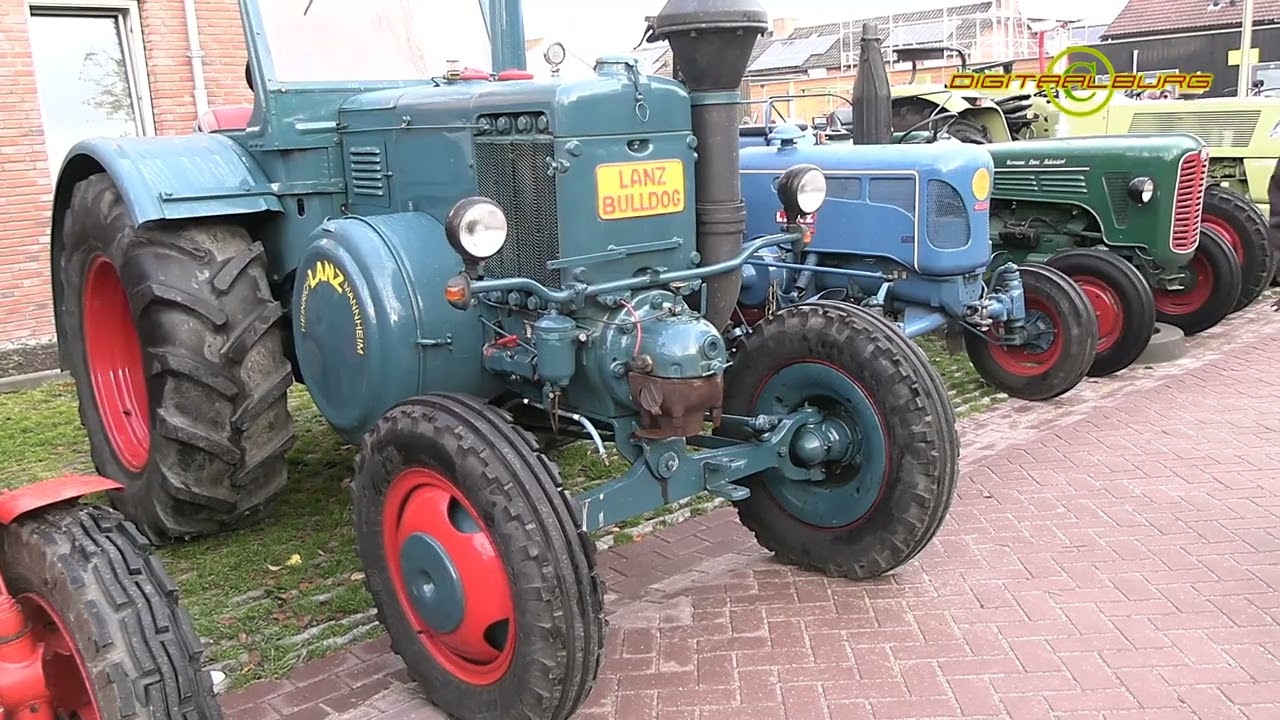 Volop lof voor organisatie Paardenmarkt Hedel, ondanks lagere aanvoer