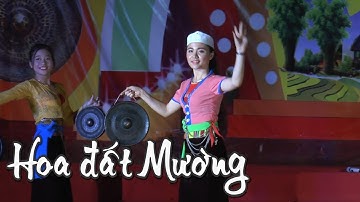 GÁI XINH HÁT HOA ĐẤT MƯỜNG RẤT HAY