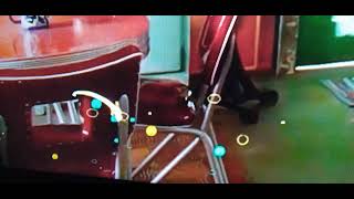 New Disney Channel Summer Screen Bug