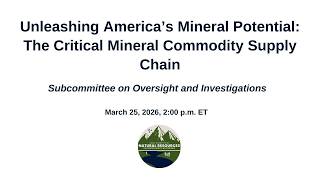 Unleashing America’s Mineral Potential: The Critical Mineral Commodity Supply Chain