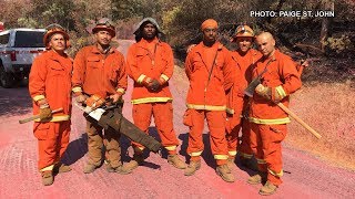 Https://democracynow.org - california relies on thousands of
prisoners, including many women, to battle the wildfires burning
statewide. prisoner firefighter...