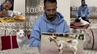 The Story Of A Tripod Cat That Bonded With A Human Who Saved It From Death In The Street.