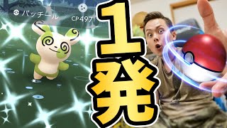 1発でパッチール色違いを降臨させてしまった！！！後半はりりぃの癒し動画【ポケモンGO】