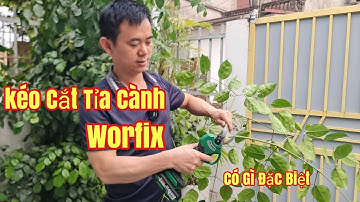 Kéo Cắt Tỉa Cành Pin Workfix, Thử Cắt Mà Nhẹ Hết Cả Người
