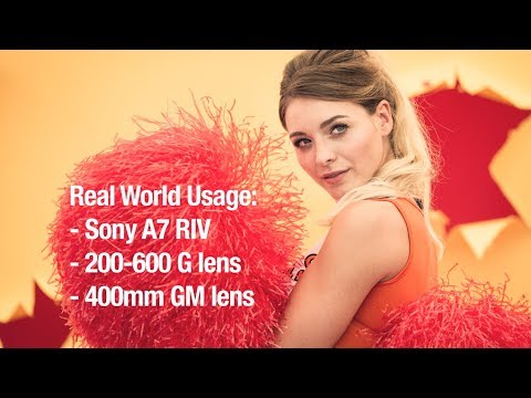 Sony A7R4 & 200-600mm G lens & 400mm GM lens