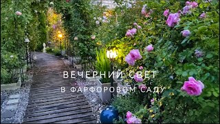 Вечерний свет, молочная сыворотка и лучшие розы для жары