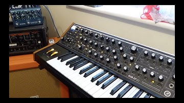 Moog Sub 37 & Strymon NightSky