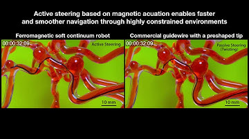 2019 Ferromagnetic soft continuum robots 6