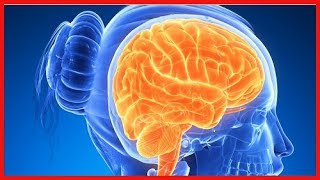 Quel est le pire alcool pour le cerveau ?