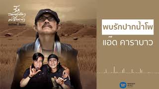 Video thumbnail of "แอ๊ด คาราบาว - พบรักปากน้ำโพ [Official Audio]"