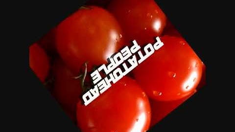 Potatohead People-Snow Problem