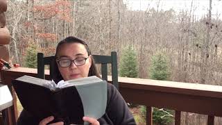 Proverbs 17 | Proverb a Day | Bible Reading