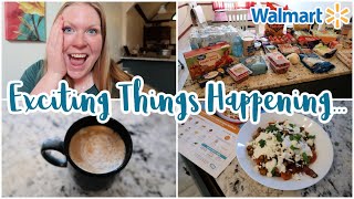 Fun Times Ahead | Walmart Grocery Pickup Haul | Vlogust