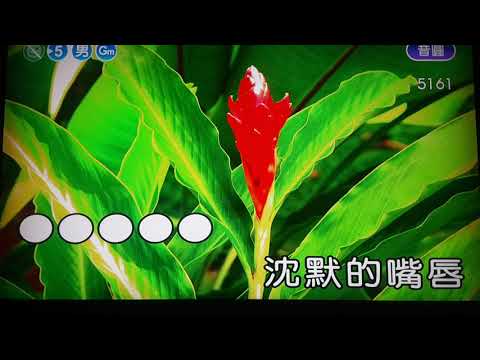 つぐない/償還
