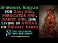 رقیه قوی برای جن زنی جن زناکار جن متجاوز جن در AWRAH یا بخش های خصوصی زندگی می کنند رقیه قوی برای جن زنی جن زناکار جن متجاوز جن در AWRAH یا بخش های خصوصی زندگی می کنند