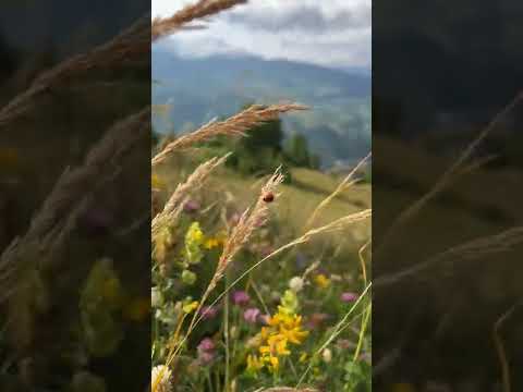 Грузия :) / Republic of Georgia