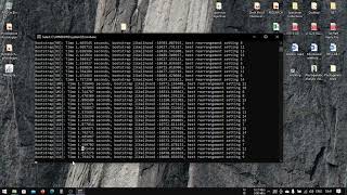 #6 - Maximum Likelihood Analysis using RAxML - Part 2 (windows)