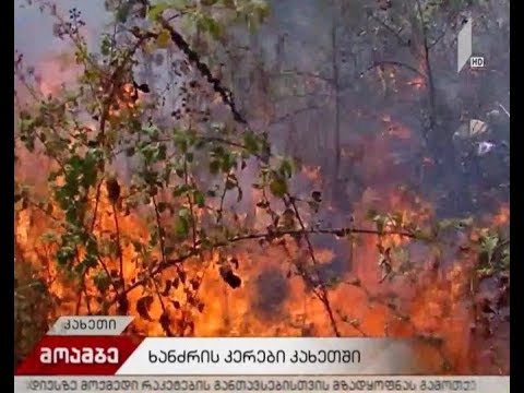 ხანძრის კერები კახეთში