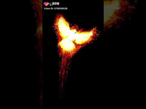 صحبكو طلع واطي وخاين