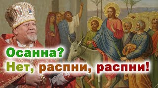 Осанна? Нет, распни, распни! Проповедь священника Георгия Полякова в Вербное воскресенье.
