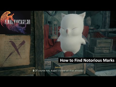 How to Find