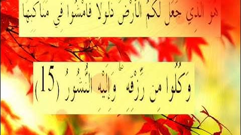 القران الكريم سورة الملك الأية 15.wmv