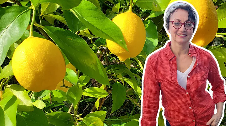 Cultivating Fruit in a Small Garden with Carmen De...