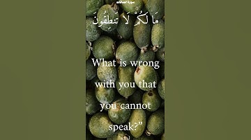 سورة الصافات من الأية 91 الى 98 نحمد أيوب