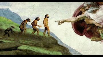 Evolution Misconceptions