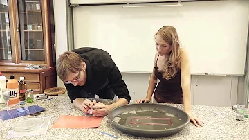 Co se chová na hladině vody?