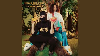 Miniatura del video "Ninja Sex Party - Seatbelts!"