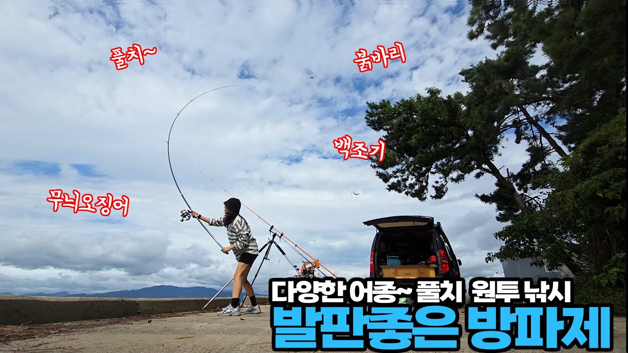 다양한 어종이 나오는 방파제 원투 풀치 낚시 붉바리~ 무늬