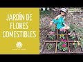 Como Hacer Un Jardín De Flores Comestibles//manos de tierra