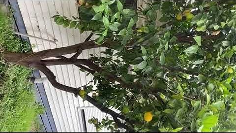 ECE6002 - Assignment 1 - VIDEO PRESENTATION