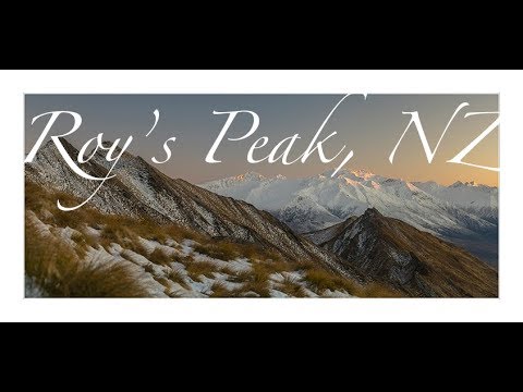 Video: Turister Danner En Linje For å Ta Nøyaktig Samme Bilde På Roy's Peak, New Zealand