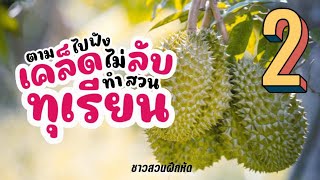 ชาวสวนฝึกหัด | ตามไปฟัง เคล็ด(ไม่)ลับ ทำสวนทุเรียน (ตอนที่ 2)