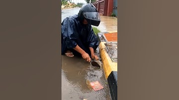 Remove trash and clearing grass clog drain  #culverts #unclog #drain