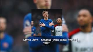 Stayin' Alive - beegess (Intro tiktok version Extended)