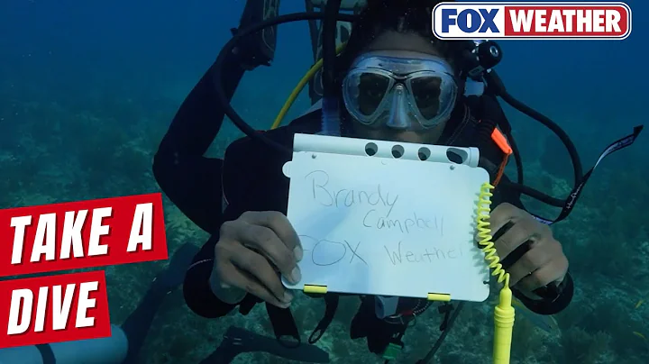Take A Dive Into The Restoration Florida's Coral Reefs With FOX Weather's Brandy Campbell