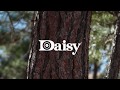 Daisy Red Ryder - Family Fun For All Ages
