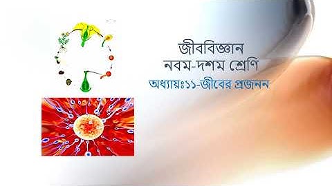 Class: 9 & 10,Biology(Lecture:18),Chapter:11(Part-10),Shayla Parvin