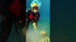 300 Year Old GOLD Treasure Found in Florida!