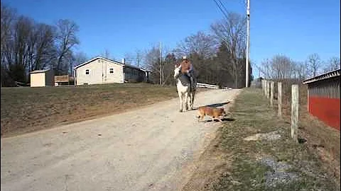 3-29-30BOHorses 258.MP4