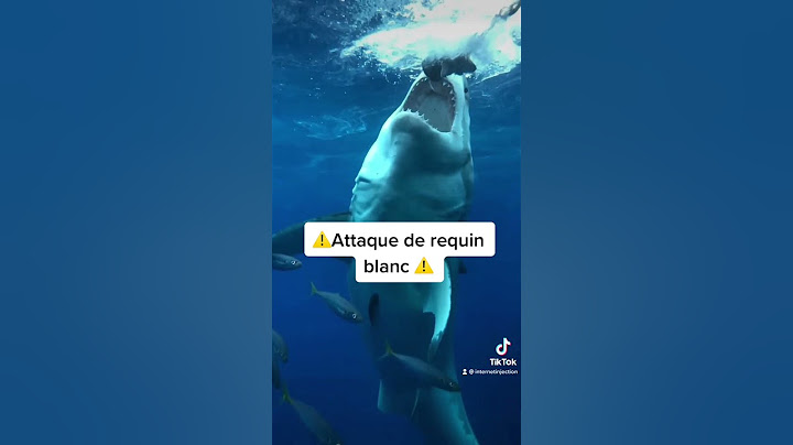 Attaque d’un requin blanc