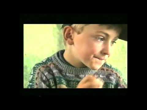 საქართველო არის ესე - ფშავური ჩანახატები