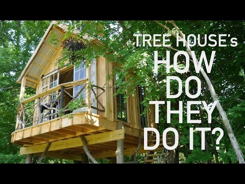 Tree House Building- Garnier Limb/Attachment techniques in a NY build…. Tree House Building- Garnier Limb/Attachment techniques in a NY build….