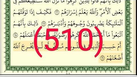 سورة   محمد رقم الصفحة 510 مجود بصوت القارئ الشيخ أيمن سويد حفظه الله
