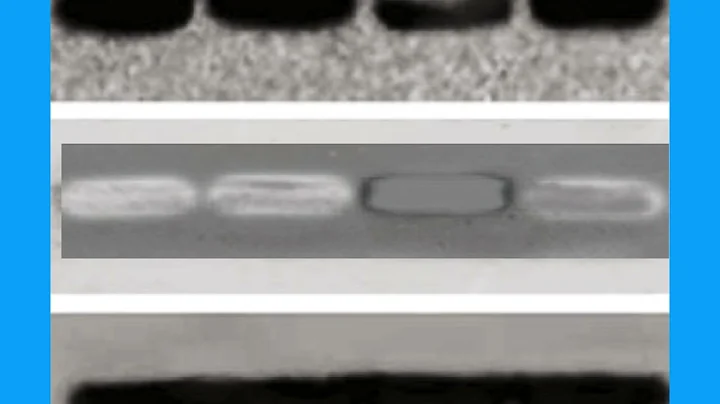 D8D48E50D37F09325D748980DE435F#3