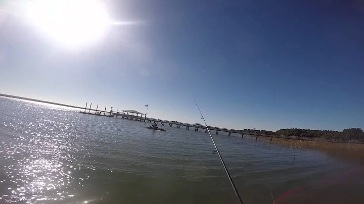 ICW Redfish Action